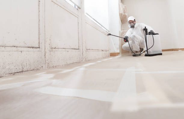 24/7 Emergency Mold Remediation experts in Emerson, NJ