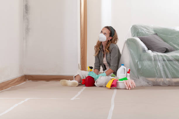 Reliable Mold Remediation contractor in Emerson, NJ by WQB Mold Removal