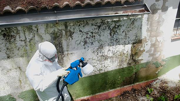 Top rated local Mold Remediation specialists in Emerson, NJ